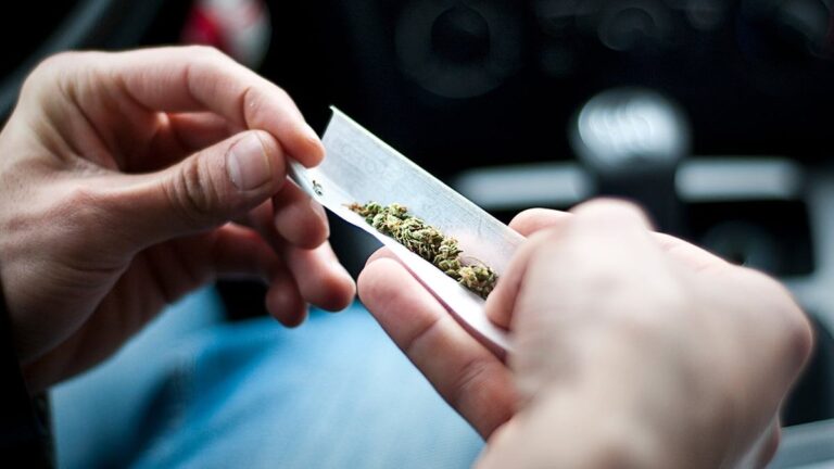 El consumo de marihuana cayó entre los adolescentes de Estados Unidos