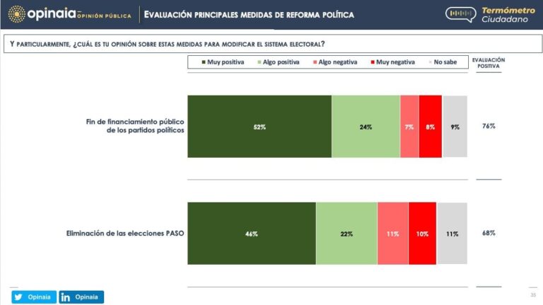 Eliminación de las PASO y del financiamiento público a partidos: las reformas que mantienen un fuerte apoyo de la opinión pública