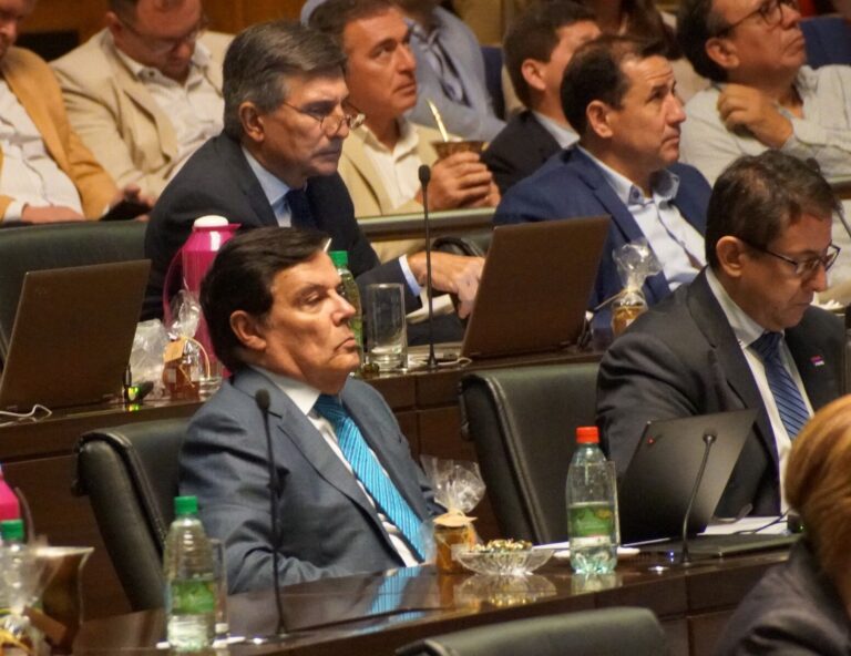 Misiones | Carlos Rovira hizo una nueva demostración de poder y a último momento ordenó reemplazar al diputado preso