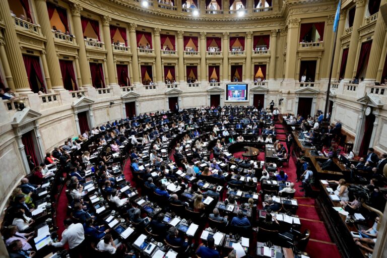 Qué es un DNU y cómo funcionan los decretos en la Argentina Qué es un DNU y cómo funcionan los decretos en la Argentina