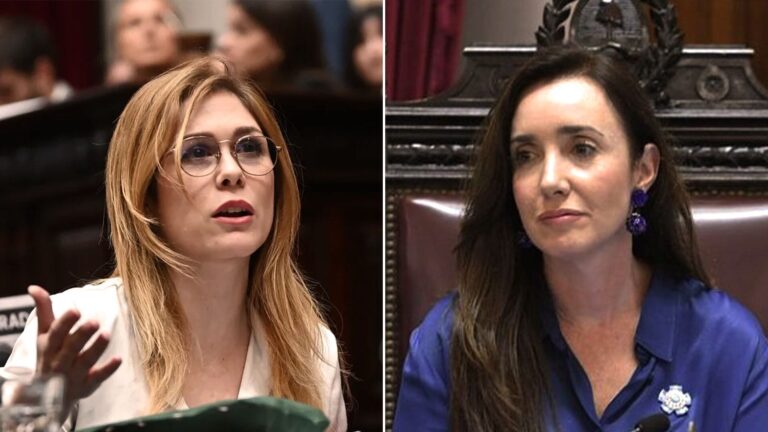Victoria Villarruel le respondió a Lilia Lemoine luego de que se refiriera a ella como “Bichacruel” Victoria Villarruel le respondió a Lilia Lemoine luego de que se refiriera a ella como “Bichacruel”