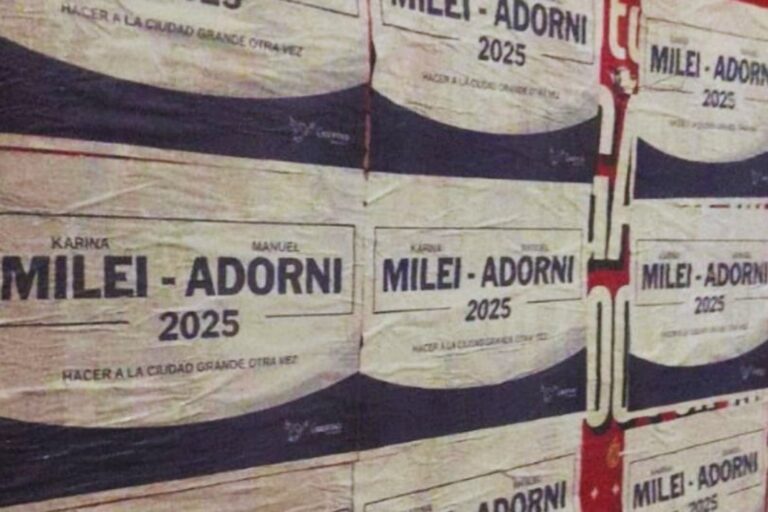 Victoria Villarruel se despegó de los carteles con su nombre y sus colaboradores los arrancaron Victoria Villarruel se despegó de los carteles con su nombre y sus colaboradores los arrancaron