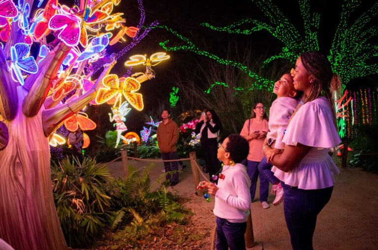 Dónde ver luces de Navidad cerca de mí en Texas: Houston, Dallas, Austin, San Antonio y más