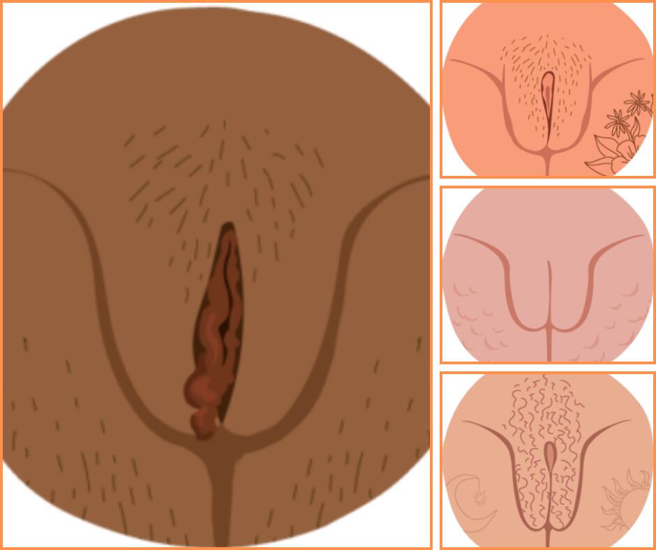 Estos son los 9 tipos de vulva, según la forma de los labios vaginales