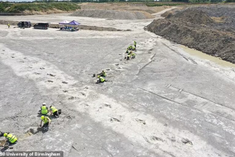 Descubrieron nuevas huellas de dinosaurio bajo la constucción de unas autopistas en Inglaterra