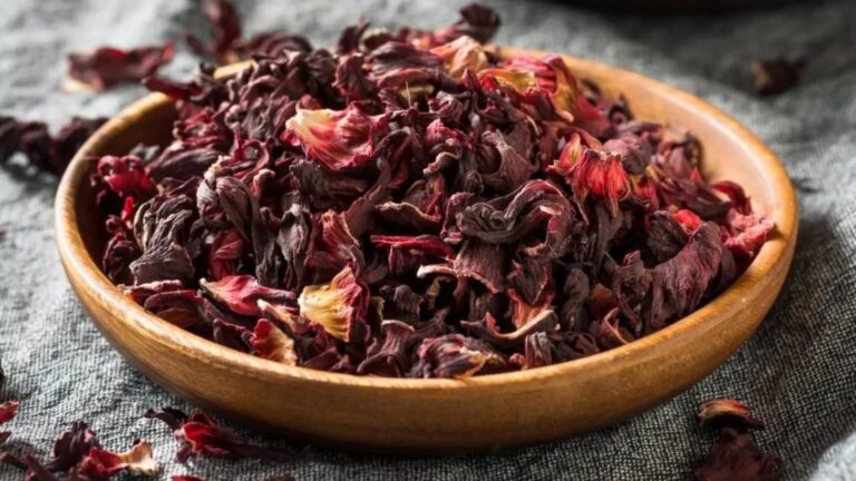 Enemiga de la presión arterial, la retención de líquidos y el colesterol: los beneficios de la flor de Jamaica