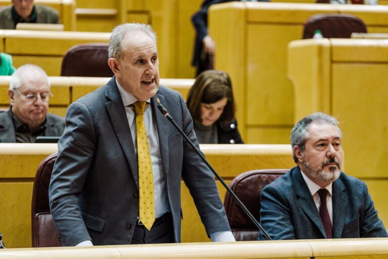 El PSOE cuestiona «cuánto ha costado» el pleno en el Senado para «escenificar el teatrillo» del PP