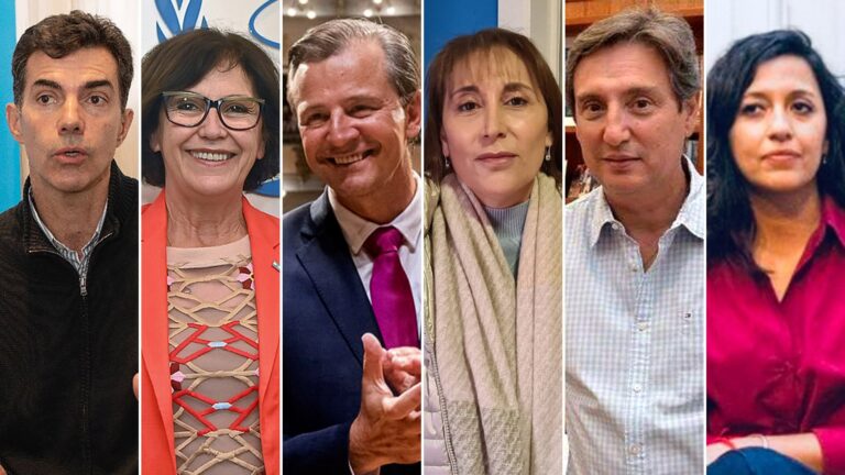 Camino a la elección nacional: cómo está el peronismo en los 24 distritos y qué posibilidades tiene de ganar Camino a la elección nacional: cómo está el peronismo en los 24 distritos y qué posibilidades tiene de ganar