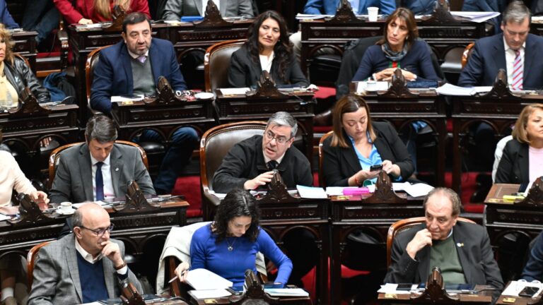 La oposición logró rechazar el veto de Milei a la ley de emergencia en discapacidad en Diputados
