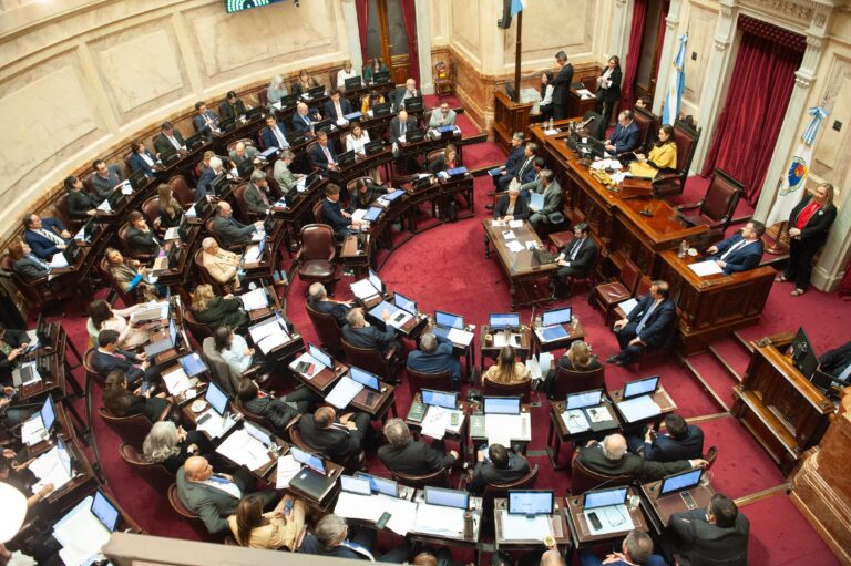 La semana que viene el Senado buscará aprobar la insistencia de la emergencia en discapacidad