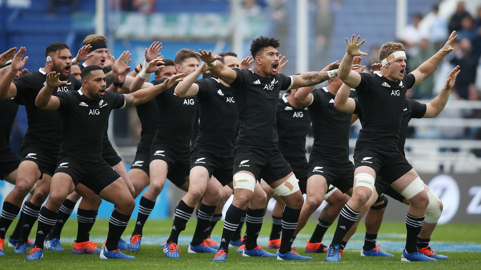 Los Pumas regresan a Vélez para medirse otra vez ante los All Blacks: su historial en Liniers