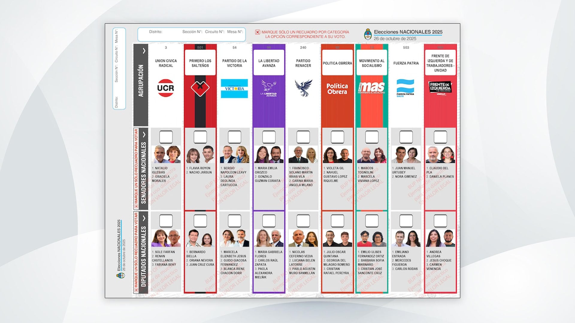 Elecciones 2025: las listas completas de Salta de candidatos a diputados y senadores nacionales