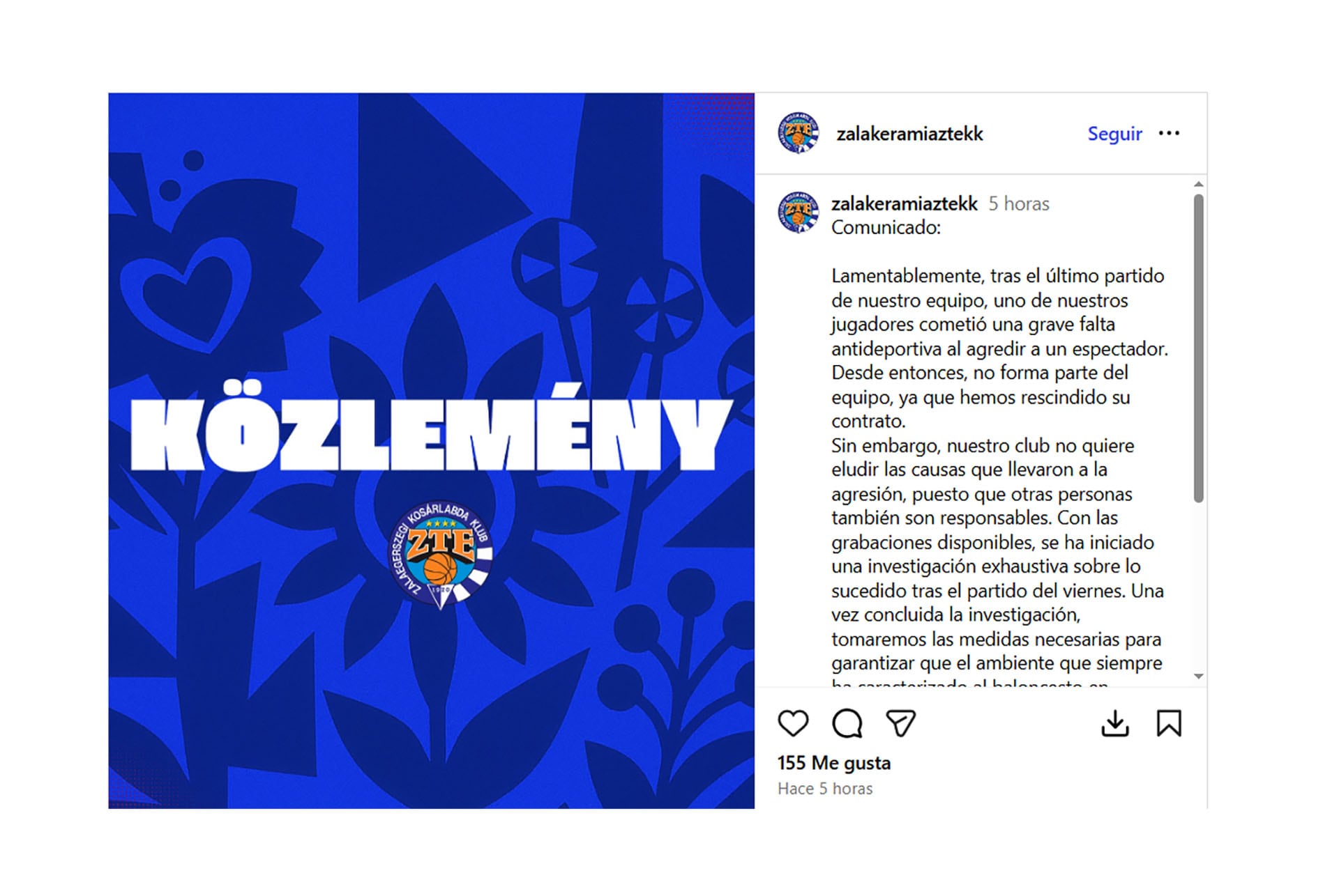 Brutal agresión en el baloncesto húngaro: despidieron a un jugador tras golpear a un fanático de su equipo