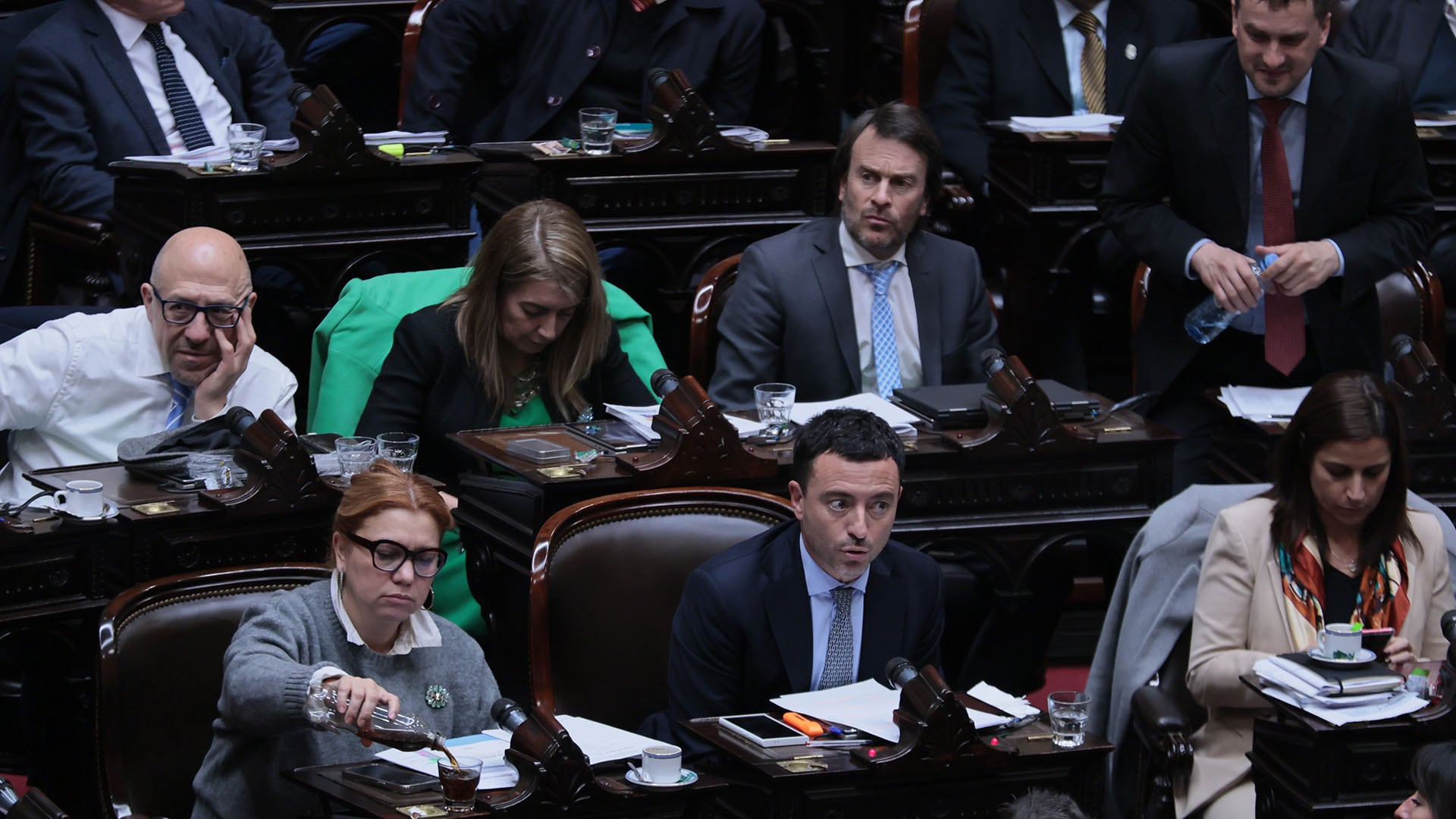 Gráfico interactivo: quiénes fueron los diputados más “rebeldes” y cuál fue el bloque más cercano al Gobierno