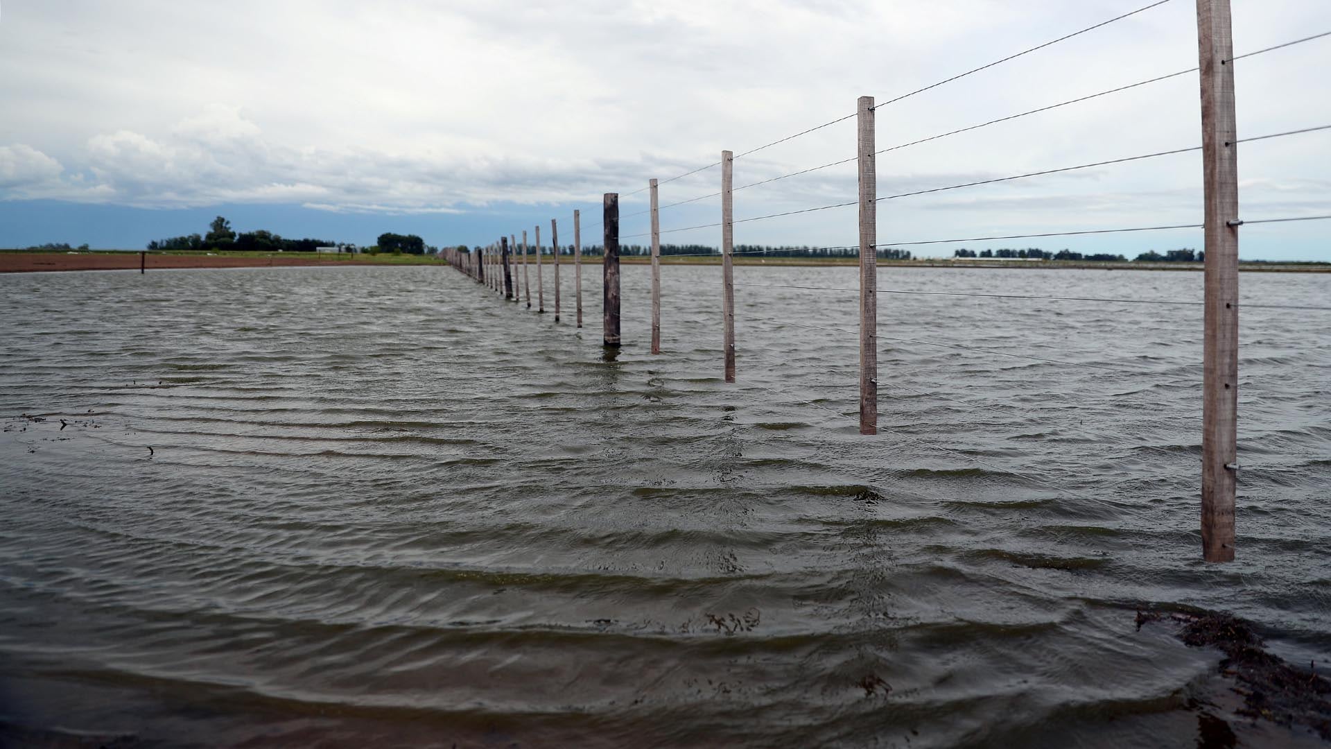 Un bloque de legisladores bonaerenses pidió declarar la emergencia agropecuaria por los campos inundados en PBA